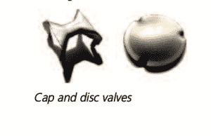 Cap and disc valves